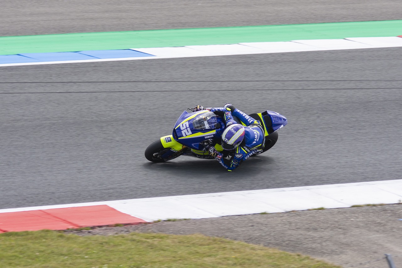 以成功的基 以成功的基