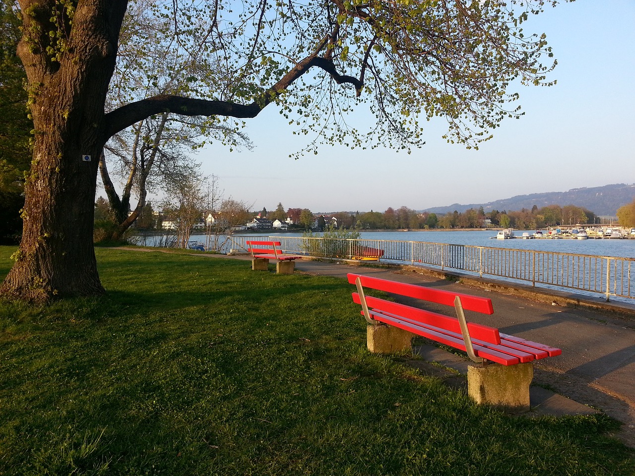 同时为球队 同时为球队