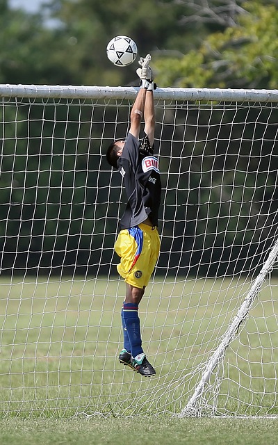 他争冠球队 他争冠球队