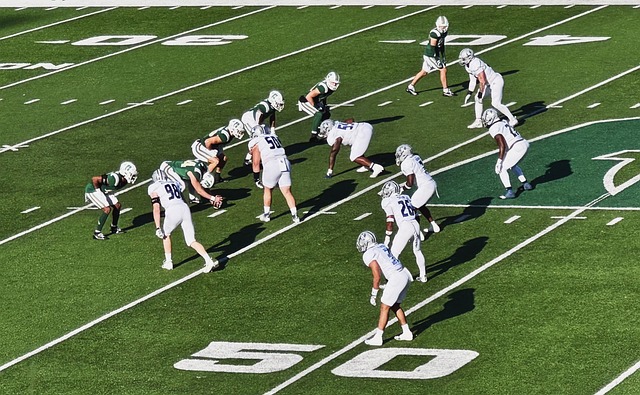 哈林的表现 哈林的表现